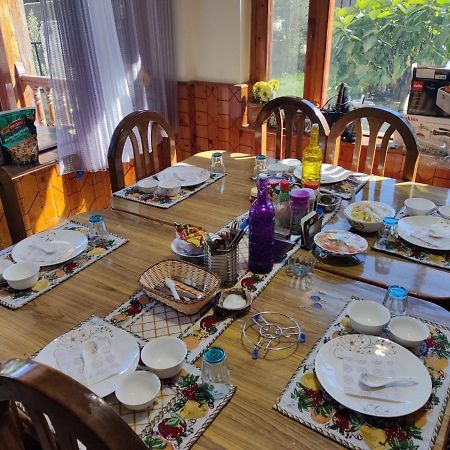 Aroma Taru Villa / Cottage ,Manali ภายนอก รูปภาพ