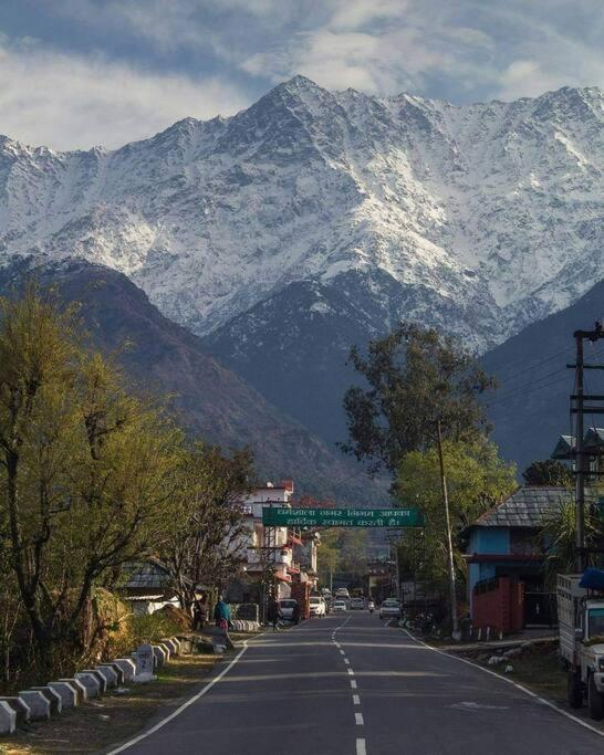 Aroma Taru Villa / Cottage ,Manali ภายนอก รูปภาพ