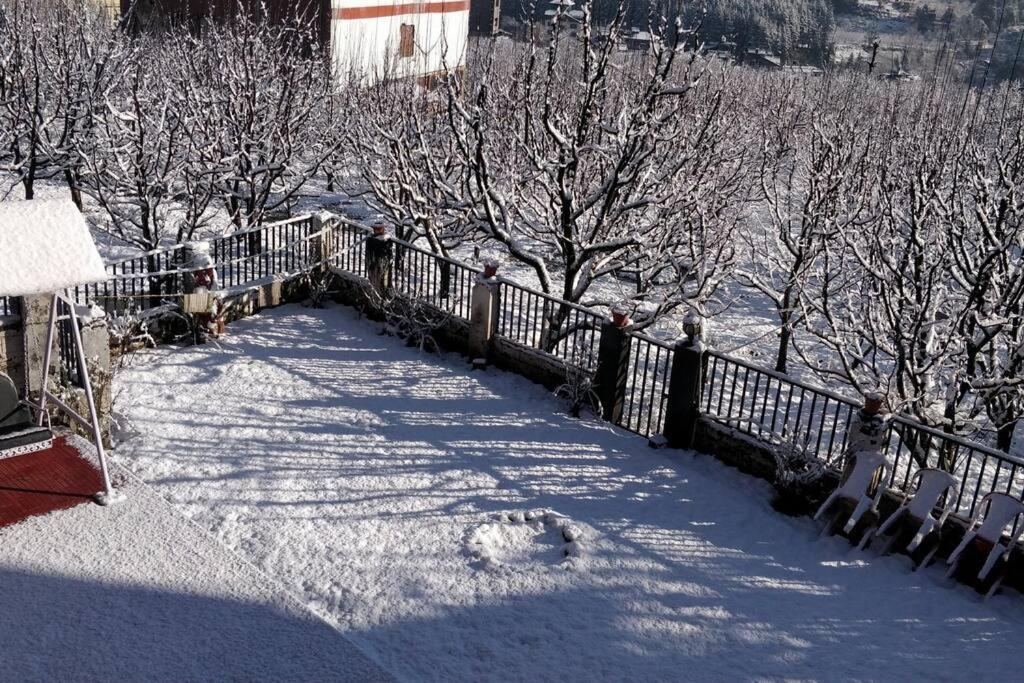 Aroma Taru Villa / Cottage ,Manali ภายนอก รูปภาพ