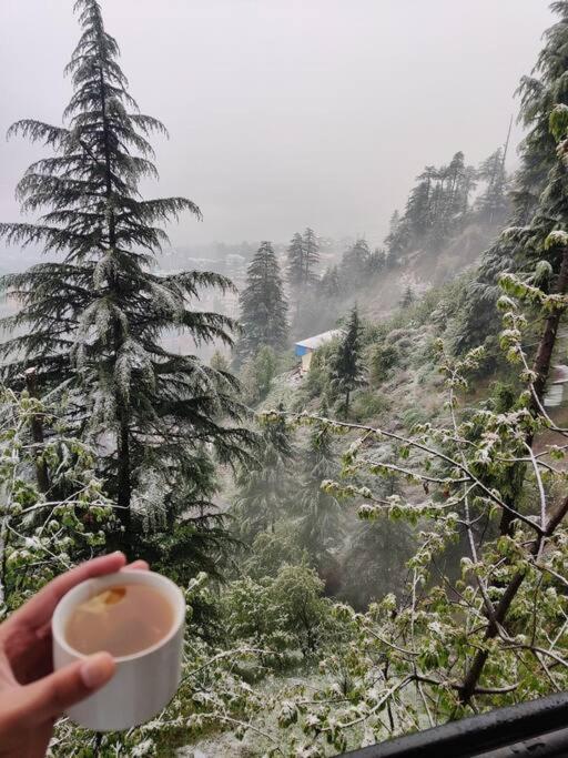 Aroma Taru Villa / Cottage ,Manali ภายนอก รูปภาพ