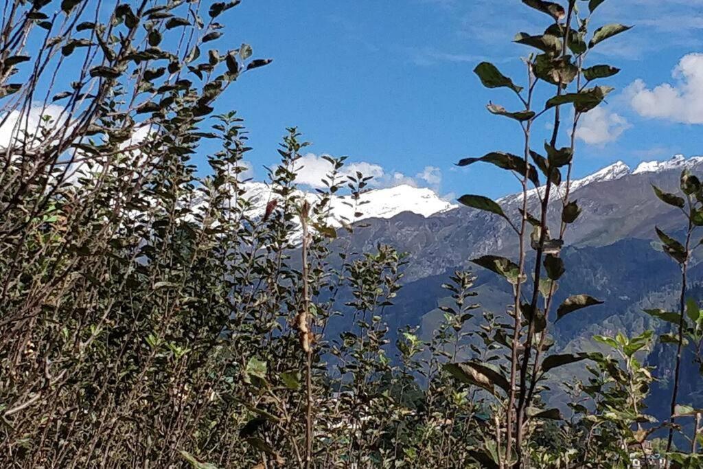 Aroma Taru Villa / Cottage ,Manali ภายนอก รูปภาพ