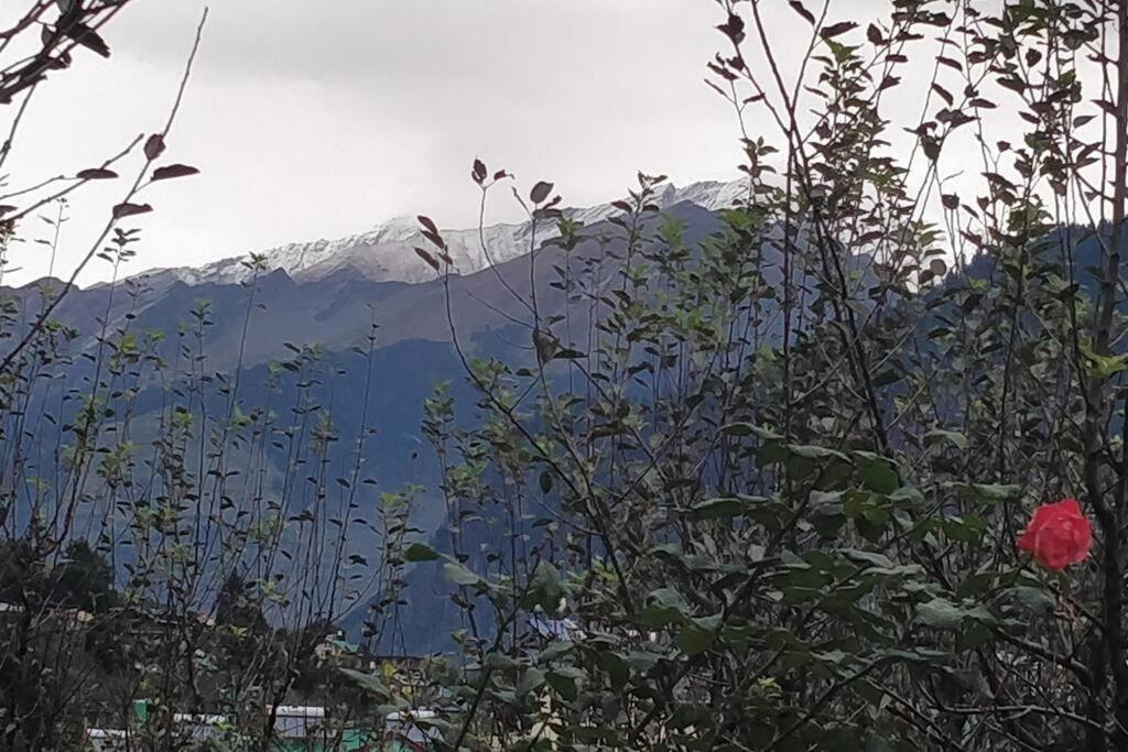 Aroma Taru Villa / Cottage ,Manali ภายนอก รูปภาพ